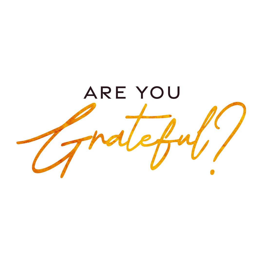 Everyday Tee-Softstyle Comfort  (Unisex,Gildan 64000)